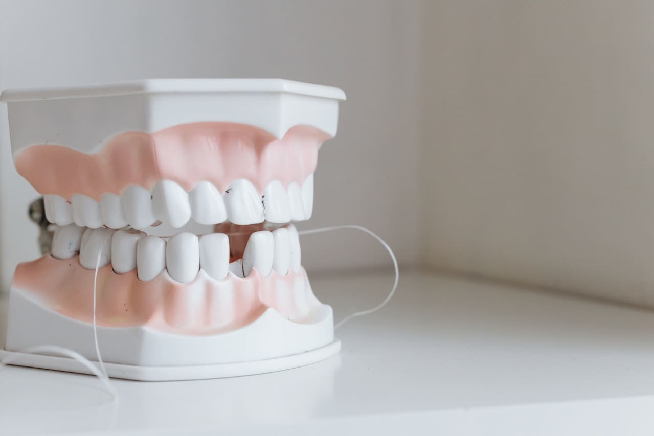 Teeth model with broken teeth
